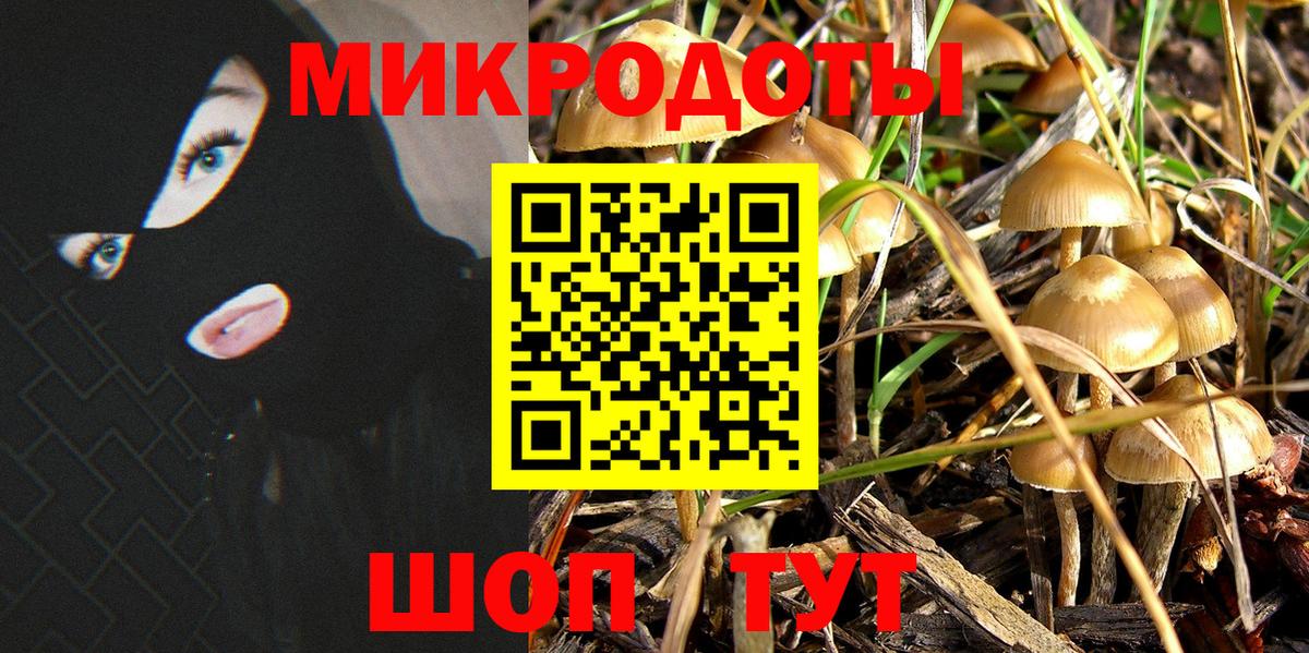 Псилоцибиновые грибы Cubensis  Вход с VPN  Кимры 